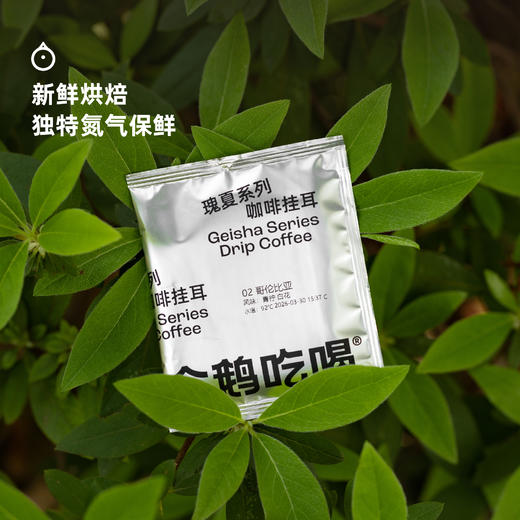企鹅吃喝|瑰夏系列2.0咖啡挂耳10g*5包 精选5大产区 一次感受瑰夏魅力 商品图3