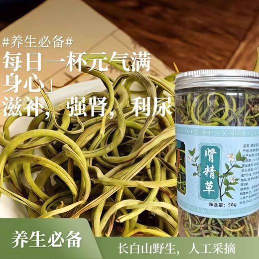 M000长白山野生肾精草【50g*2瓶】 商品图0