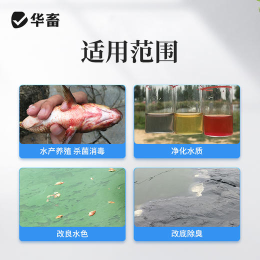 华畜二氧化氯360消毒王水产养殖鱼塘消毒杀菌鱼虾池塘水库消毒剂 商品图2