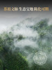 4.3日中午12点开抢；【香竹箐古树王单株】2026年古树茶香竹箐单株普洱生茶357g饼茶 商品缩略图4