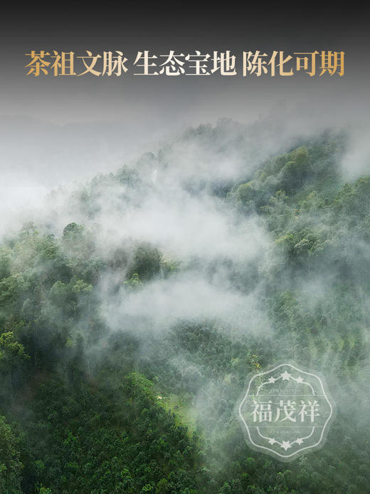 4.3日中午12点开抢；【香竹箐古树王单株】2026年古树茶香竹箐单株普洱生茶357g饼茶 商品图4