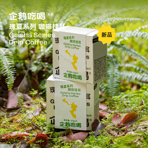 企鹅吃喝|瑰夏系列2.0咖啡挂耳10g*5包 精选5大产区 一次感受瑰夏魅力 商品图0