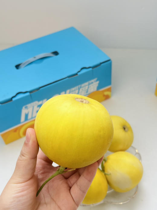 小甜瓜 儿时小香瓜 香味十足 皮薄且脆 商品图1