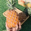 【美味水果丨海南金钻凤梨3个装】香甜中夹杂着一丝酸爽，肉质脆嫩鲜爽，果肉饱满细腻，甜蜜多汁，人工精心筛选后寄出 商品缩略图2