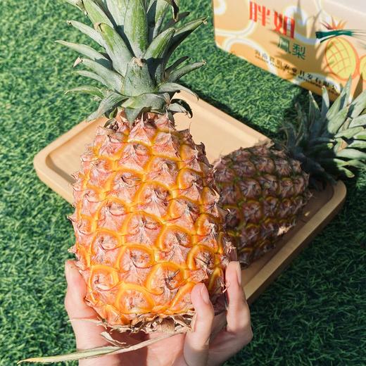 【美味水果丨海南金钻凤梨3个装】香甜中夹杂着一丝酸爽，肉质脆嫩鲜爽，果肉饱满细腻，甜蜜多汁，人工精心筛选后寄出 商品图2