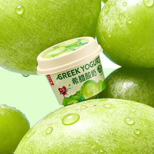 乐纯希腊酸奶白葡萄味90g 商品图2