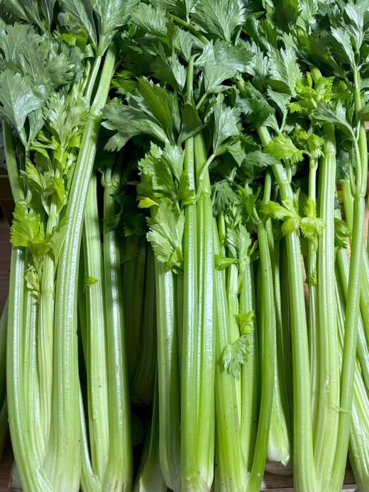 淘牧正宗西芹新鲜自种榨汁农家优质绿色脆嫩青菜芹菜时令蔬菜批发 商品图3