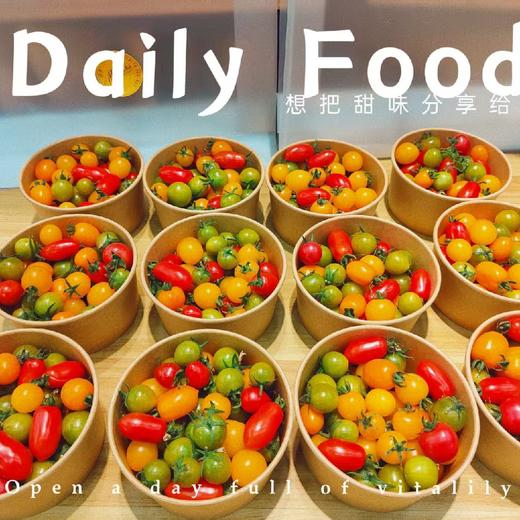 四色番茄（1斤装） 商品图0