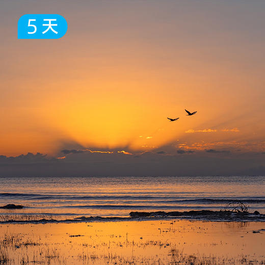 环青海湖骑行｜4+2豪华保障 此生必去 360公里环湖挑战 5日 商品图6
