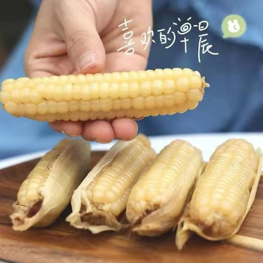 现货西双版纳拇指玉米500克 商品图0