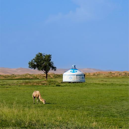 【2026年 五一假期】大漠童行丨腾格里沙漠&成长夏令营（5天4夜） 商品图9