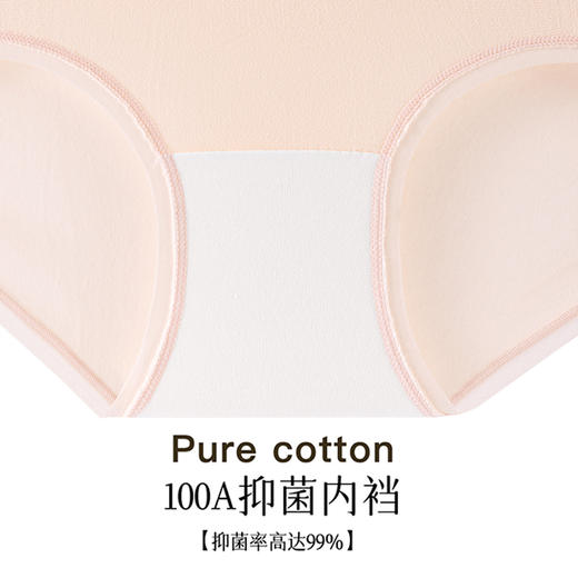 【限时39元1盒5条装】盒装A类透气婴儿棉透气女士内裤-100A 商品图6