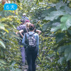 崇左✖️越南吉婆岛 跨境轻徒步｜剑龙山野径 明仕田园骑行 雨林穿越 24人精品小团 6日 商品缩略图0