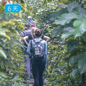 崇左✖️越南吉婆岛 跨境轻徒步｜剑龙山野径 明仕田园骑行 雨林穿越 24人精品小团 6日