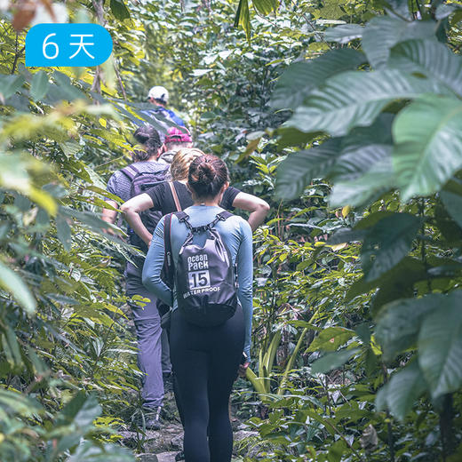崇左✖️越南吉婆岛 跨境轻徒步｜剑龙山野径 明仕田园骑行 雨林穿越 24人精品小团 6日 商品图0