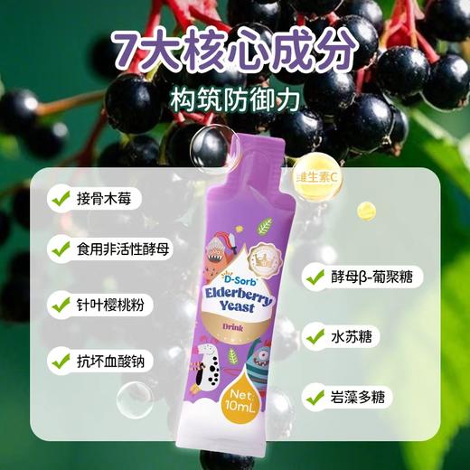 滴适宝（D-Sorb）接骨木莓 酵母β葡聚糖儿童维生素C 自护力营养 新西兰进口 商品图2