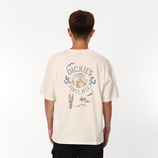 Dickies纯棉短袖T恤男夏季款宽松凉感半袖上衣美式体恤潮流男装DK0A87DC 商品图7