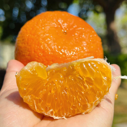 【自营】云南大理高原沃柑4.5斤/8斤 多规格可选 商品图1