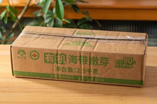 有机盐渍深海嫩海带 商品图11