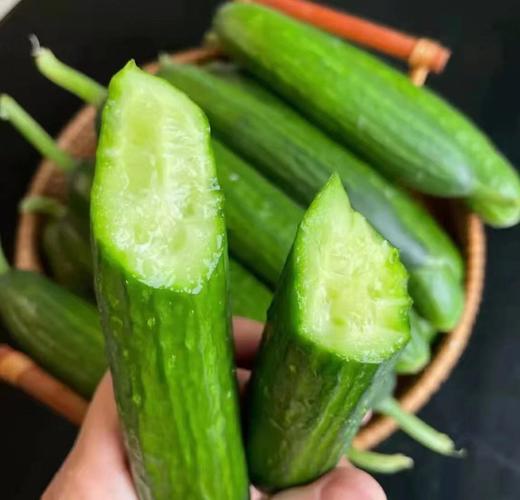 【斌哥优选】水果黄瓜。新鲜采摘，皮薄籽少，直接生吃不涩口。减肥界里的常备选手。强烈推荐啊。 商品图0