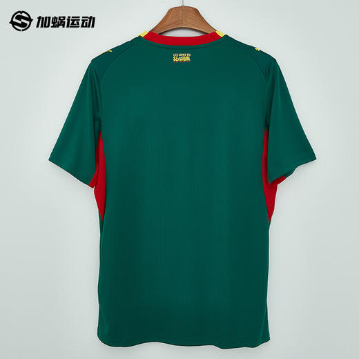SFS彪马2026世界杯塞内加尔客场球迷版球衣短袖足球服男783171-02 商品图1
