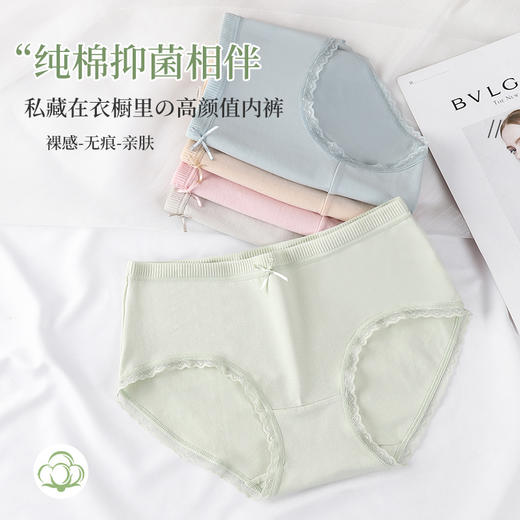 【49元4条，请拍4条，单拍不发】高弹舒适彩虹色系纯棉女士内裤-M546 商品图2