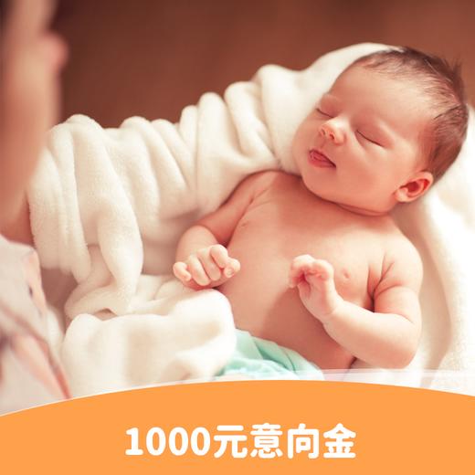 预交1000元意向金，即可锁定心仪月子房 商品图0