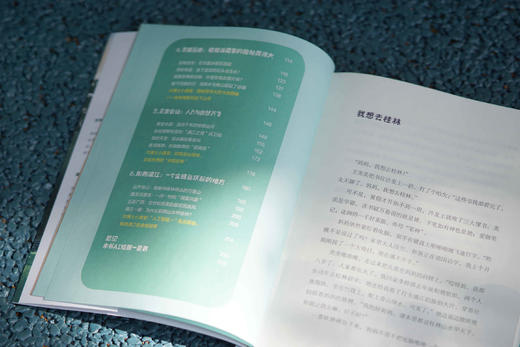 【魔法象】跟着博士游桂林山水  沈利娜/著  魔法象/绘 商品图6