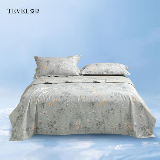 6F堂皇 莫染全棉四件套 商品图0