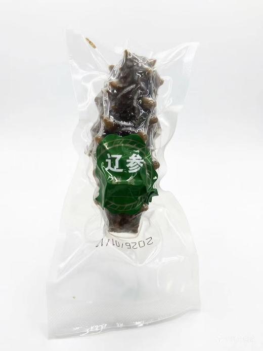 鲜食海参礼盒 商品图0
