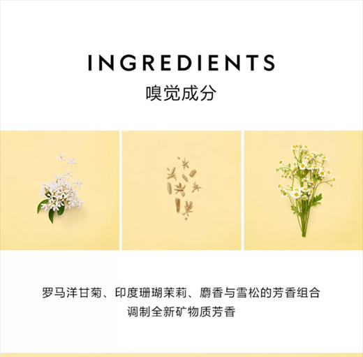 3614225307881	古驰GUCCI 古驰 追忆/气味记忆香水40ml 复古精致 节日礼物【40ml】 商品图4