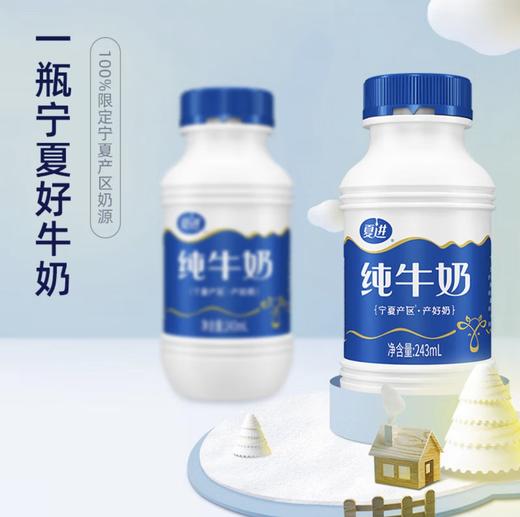 夏进纯牛奶 商品图1
