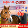 革泰神州15GPS电子牛羊骆驼动物定位养殖专用追踪神器 商品缩略图0