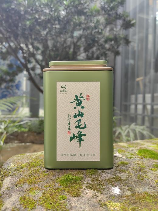 2026新茶|黄山毛峰|头采|绿茶|产区歙县|100g单罐|双罐|2026年3月25日鲜叶 商品图1