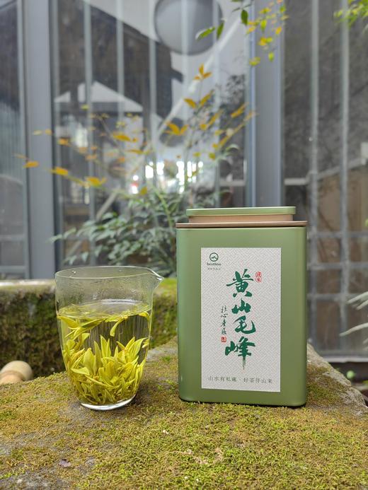 2026新茶|黄山毛峰|头采|绿茶|产区歙县|100g单罐|双罐|2026年3月25日鲜叶 商品图2