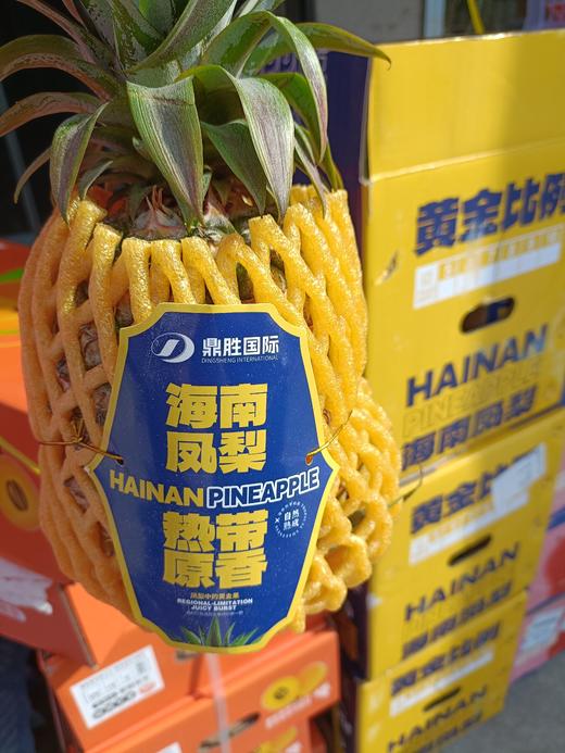 正宗海南豆奶凤梨  蜜甜多汁 家庭装2颗装 商品图4