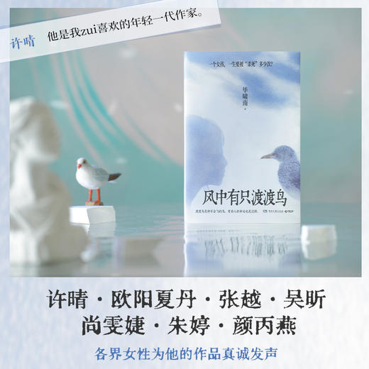 [直营]风中有只渡渡鸟 知名作家毕啸南全新小说力作 商品图3