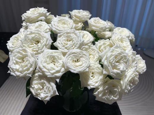 白色多头玫瑰10枝 商品图4