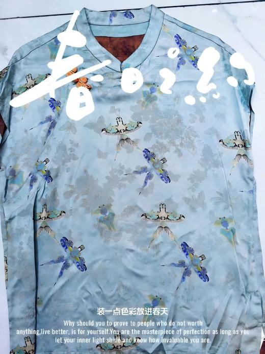 艾衣集SQ4VGM_真丝衫_ZK 商品图0