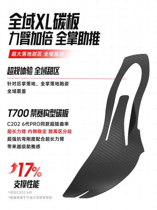 安踏C202 7格桑花丨专业马拉松碳板跑鞋竞速比赛运动鞋112625575 商品图3