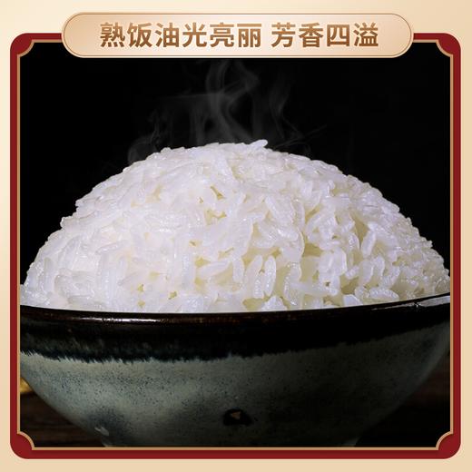 【补贴49.9元10斤】东铁村·五常米·有机认证 香糯弹润 商品图3