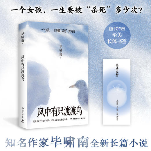 [直营]风中有只渡渡鸟 知名作家毕啸南全新小说力作 商品图0