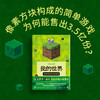 我的世界：重塑世界的方块传奇 商品缩略图1