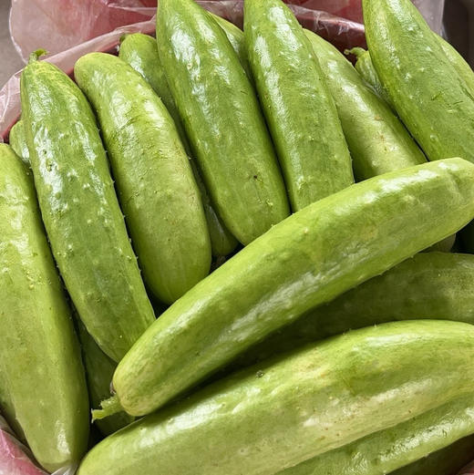 【白玉黄瓜】口感甜鲜嫩脆，黄瓜味浓，表皮青白嫩绿，口感鲜甜，刺少，大小均匀，现摘现发 4.5斤/箱 商品图8