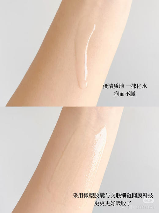 资生堂全新红腰子精华75ml 商品图2