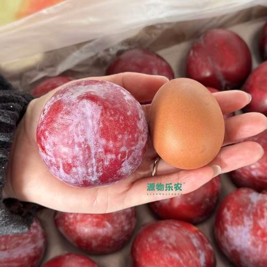 南非🇿🇦～红宝石之星【净重约5斤】：肉甜皮也甜，果酸极低，接近纯甜，味浓，推荐。 商品图3