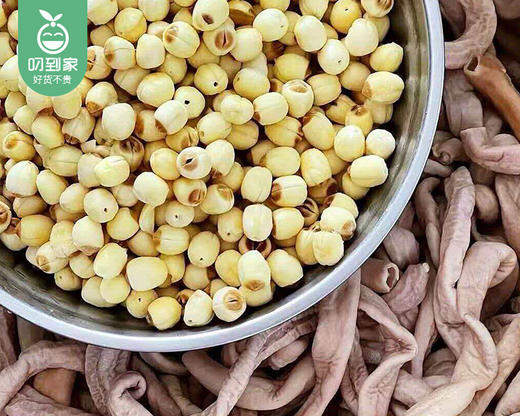 龙汇易厨玉莲炖小肠/1包（约350g，固形物含量≥70%）生产日期 25年12月 商品图2