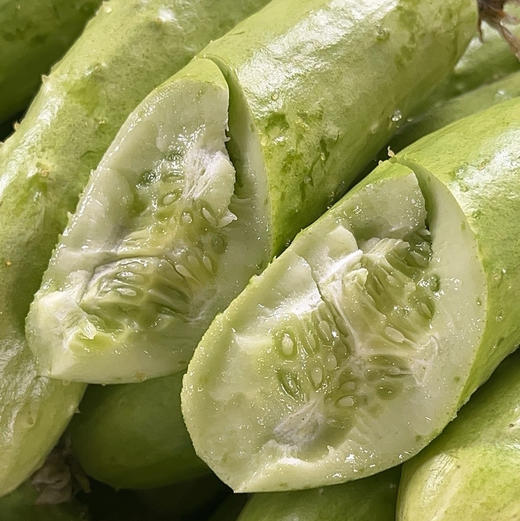 【白玉黄瓜】口感甜鲜嫩脆，黄瓜味浓，表皮青白嫩绿，口感鲜甜，刺少，大小均匀，现摘现发 4.5斤/箱 商品图6