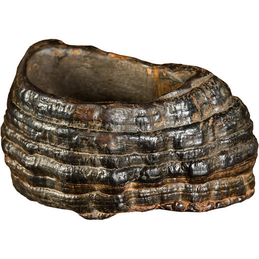 清	灵芝随形水洗 商品图5