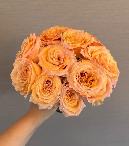 橙色单头玫瑰20枝 商品图5